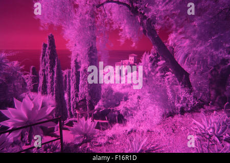 Hanbury Botanical Gardens in Infrared,Liguria,Italy Stock Photo