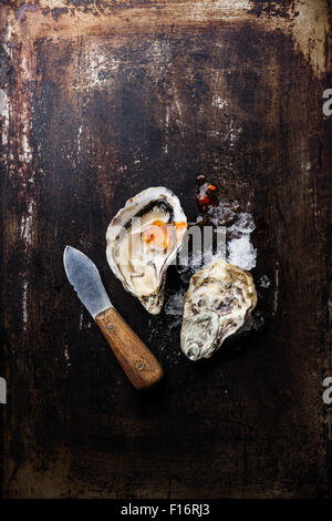 Oyster and oyster knife on dark metal background with ice and spicy sauce Stock Photo