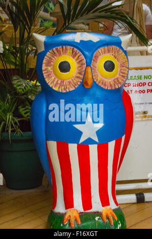 The big hoot owl at Birmingham Wildlife Conservation Park Birmingham UK Stock Photo