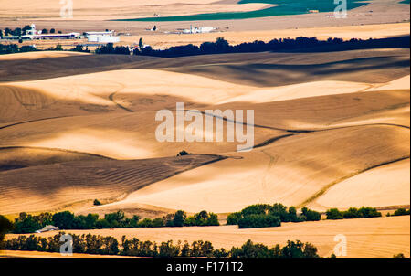 The rolling hills and fields of the Walla Walla valley, Eastern Washington USA Stock Photo