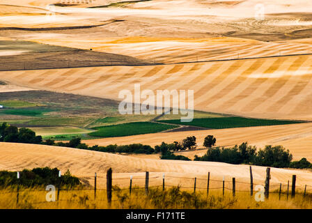 The rolling hills of the Walla Walla valley, Eastern Washington USA Stock Photo