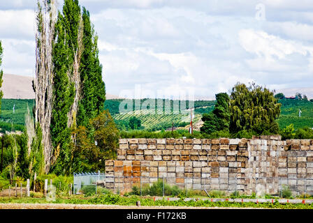 Wine crates near Yakima, Eastern Washington, USA Stock Photo