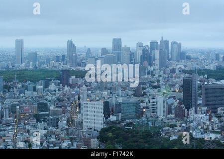Tokyo city urban sprawl early morning from up high Stock Photo