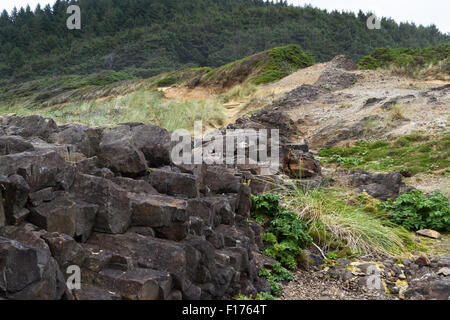 natural feature in the central Oregon coast where lava rock filled cracks and solidified separating the earth Stock Photo