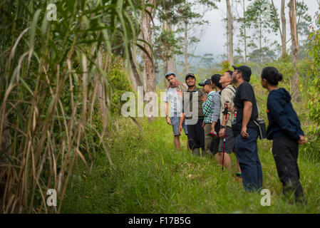 Visitors are given explanations on tree species and reforestation in a reforestation area in Mount Gede Pangrango National Park, West Java, Indonesia.