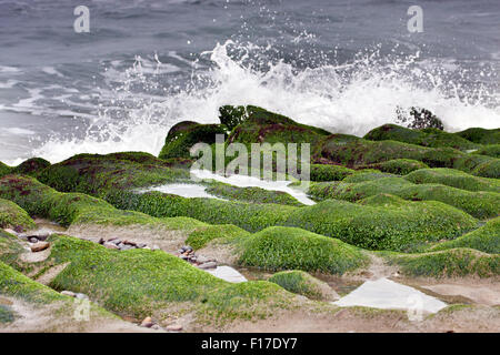 stunning view of surf on green rock at beach in spring,Taiwan Stock Photo