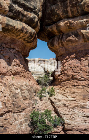 A view through the unique rock formations in Canyonlands National Park Stock Photo