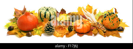 Natural autumn decoration arranged with dry leaves, ornamental pumpkins, cones and more, studio isolated on white, wide format Stock Photo
