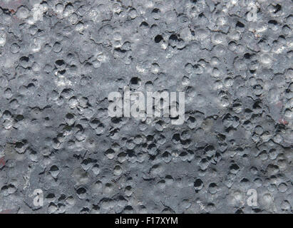 The pellets from a shotgun blast have made craters in an aluminum sign. Stock Photo