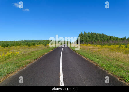 Rural asphalt road with markings that goes into the woods and passing through the meadow. Blue sky on a sunny summer day Stock Photo