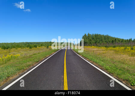 Rural asphalt road with markings that goes into the woods and passing through the meadow. Blue sky on a sunny summer day Stock Photo