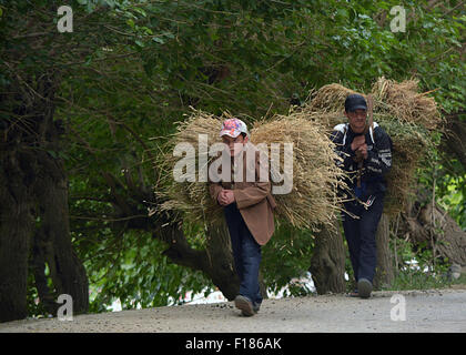 Tajikistan rural collection Stock Photo