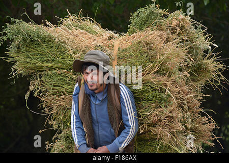 Tajikistan rural collection Stock Photo