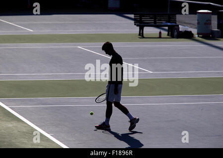 New York, USA. 29th Aug, 2015. Number One seed Novak Djokovic during a practice session at the Billie Jean King USTA National Tennis Center at Flushing Meadows, New York on Saturday, August 29th, 2015.  He is preparing for the U.S. Open which begins on Monday. Credit:  Adam Stoltman/Alamy Live News Stock Photo