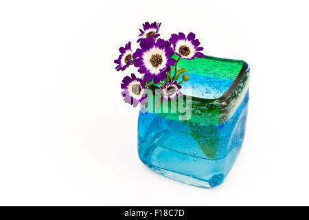 Flowers in blue glass vase isolated on white Stock Photo