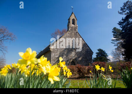 Rug Chapel Capel Rug in spring springtime with daffodils in foreground Near Corwen Denbighshire North East Wales UK Stock Photo