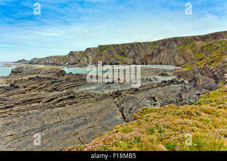The dramatic folded and tilted rock strata at Hartland Quay, north Devon, England, UK Stock Photo