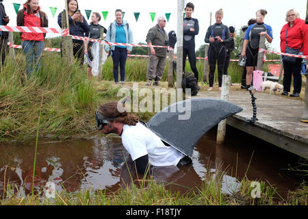 Llanwrtyd Wells, Powys, Wales, UK. 30th August, 2015.  Joels Hicks from Leicester was this years first competitor at the 30th World Bog Snorkelling Championship being held in water filled boggy trenches in Mid Wales. Stock Photo