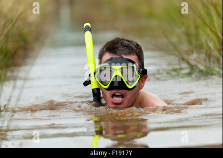 Llanwrtyd Wells, UK. 30th August, 2015. The World Bogsnorkelling Championships were conceived 30 years ago in a Welsh pub by landlord Gordon Green and are held every August Bank Holiday at Waen Rhydd Bog. Using unconventional swimming strokes, participants swim two lengths of a 55 metre trench cut through a peat bog wearing snorkel and flippers. The world record was broken in 2014 by 33 year old Kirsty Johnson from Lightwater, Surrey, in a time of 1 min 22.56 secs. Credit:  Graham M. Lawrence/Alamy Live News Stock Photo