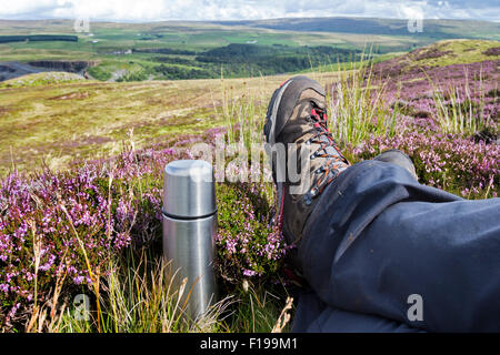 Holwick, Teesdale, County Durham. 30th August 2015. UK Weather.  A walker relaxes in the sunshine among flowering heather on the North Pennine moors of Upper Teesdale.  The forecast for Bank Holiday Monday however is for heavy showers to develop as the day progresses. Credit:  David Forster/Alamy Live News Stock Photo