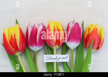 Dank je wel (which means thank you in Dutch) with colorful tulips Stock Photo