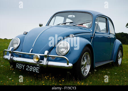 Vintage blue Volkswagen VW Beetle car in a field of grass and flowers Stock Photo