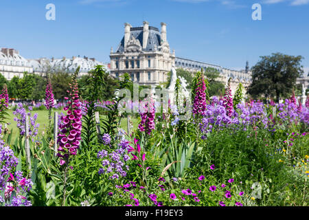 Springtime in Paris: flower bed with foxglove and pansies in the Tuilleries Garden with Louvre in the distance Stock Photo