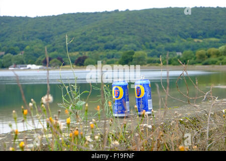 Empty beer cans left on the side of the Cheddar Reservoir after a weekend party by young folk - August 2015 Stock Photo