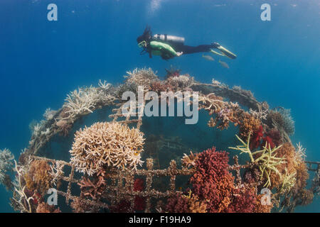 px1259-D. An artificial reef in Permuteran Bay on the island of Bali in Indonesia. The man-made metal Bio Rock(tm) reef structur Stock Photo
