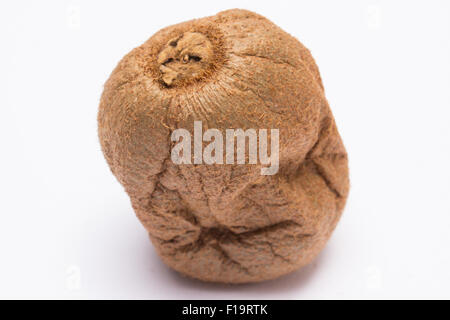 Spoiled damage kiwi on white background, unhealthy eating Stock Photo