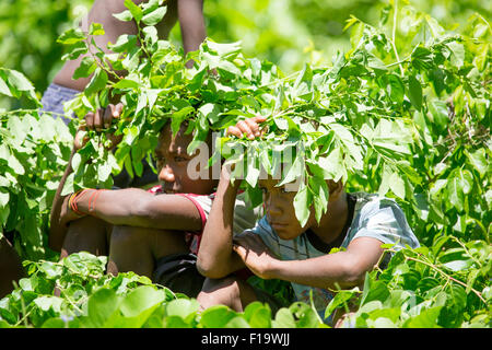 Solomon Islands, Makira-Ulawa Province, Owaraha aka Santa Ana, local kids seek shade from sun. Stock Photo