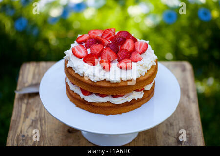 Summer berry cake Stock Photo