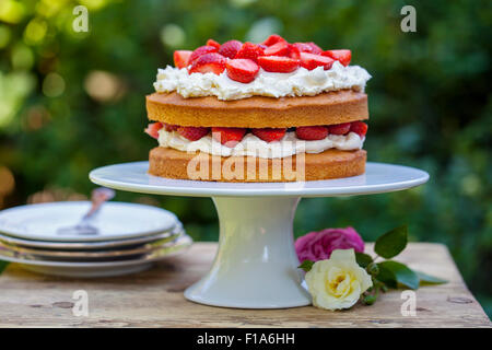 Summer berry cake Stock Photo