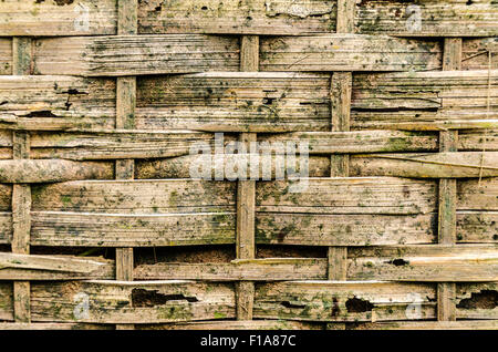Closeup of natural bamboo wood weaving affected by black mold growth. Stock Photo