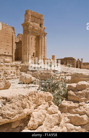 Palmyra, Syria. Temple of Bel. 2nd century Roman ruins.  UNESCO World Heritage Site. Mandatory credit Jo Whitworth Stock Photo