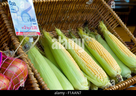 Whole corn cobs on sale Stock Photo