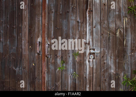 Old door Stock Photo