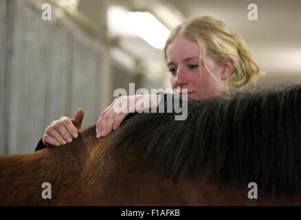 Neuenhagen, Germany, horse physiotherapist at work Stock Photo