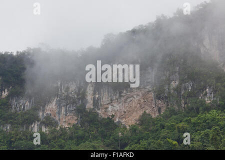 High limestone cliffs misty with morning fog are covered with tropical jungle vegetation in the Cayo District of Belize. Stock Photo