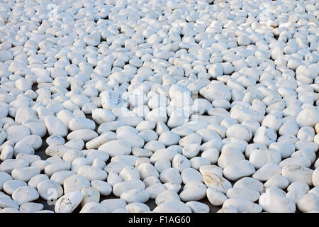 A background from white pebbles Stock Photo