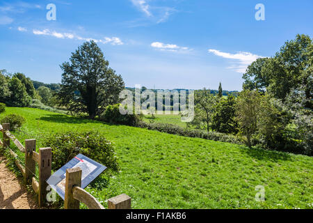 The actual site of the Battle of Hastings at the 1066 Battle of Hastings Abbey and Battlefield, East Sussex England, UK Stock Photo