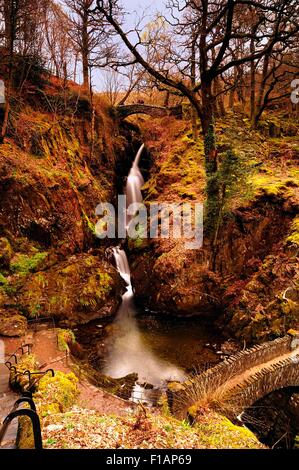 Autumn at Aira Force Stock Photo