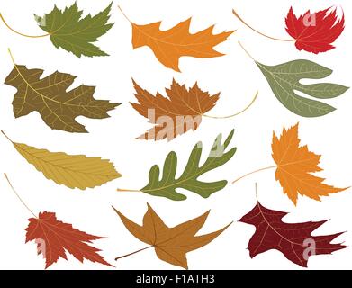 Wind blown fall leaves to add to your designs Stock Vector