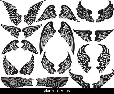 Twelve Sets of Angel Wings Stock Vector