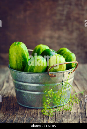 Fresh cucumbers Stock Photo