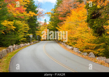 Park Loop Road in Autumn, Acadia National Park, Maine Stock Photo