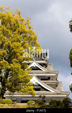 Kumamoto castle before 2016 earthquake. Dark stormy sky over the main keep, one side hidden by tree with green leaves. Springtime. Stock Photo