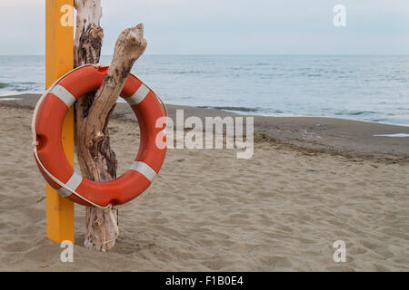 orange lifebuoy hanging on a dry dead trunk near a pink pole on a sandy beach sea and sky in background Stock Photo