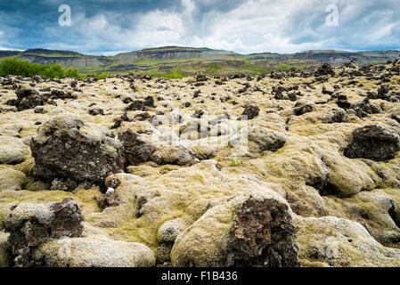 Volcanic field overgrown with moss in Bifrost, Vesturland, Iceland Stock Photo