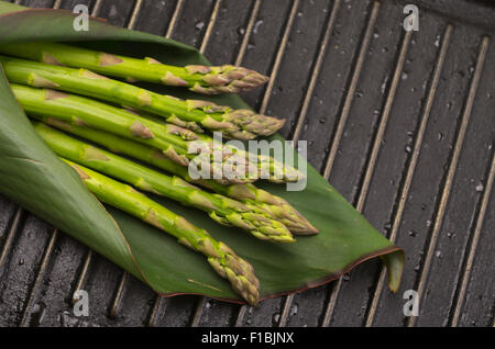 organic and delicious asparagus lying in leaf on a metal grill Stock Photo